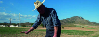 Restricciones de riego en el Segura amenazan la campaña de hortalizas de invierno en Alicante