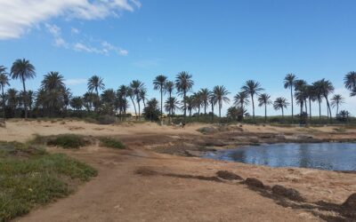 Torrevieja Busca Autorización para Construir Sendas Peatonales en Proyectos Pendientes