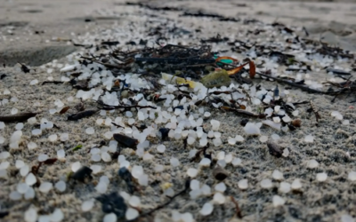 Bruselas ofrece ayuda a España para la retirada de los pellets