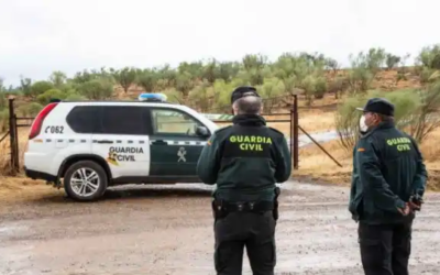 Desmantelada banda dedicada al hurto de boniatos en la Vega Baja